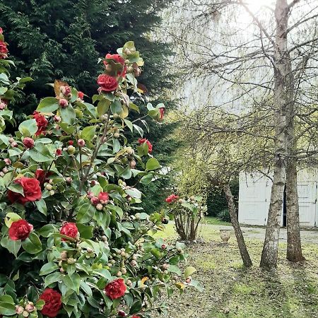 The Cottage Сан-Маурицио-д'Опальо Экстерьер фото
